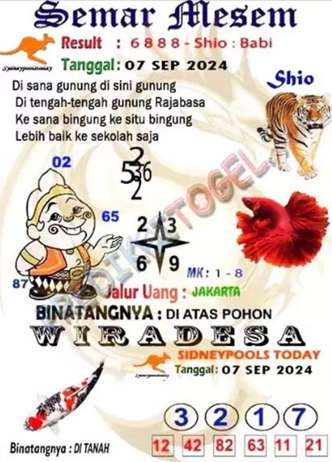 SYAIR SDY VIP